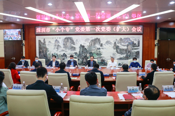 深圳市“小个专”党委召开第一次 党委(扩大)会议.jpg